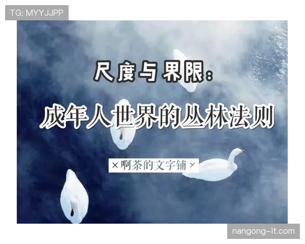 裁判尺度解读：判罚标准与VAR界限一览